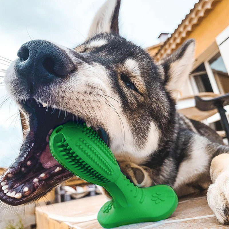 Why Your Dog Will Love the Dog Toothbrush Bite Resistant Molar Toy